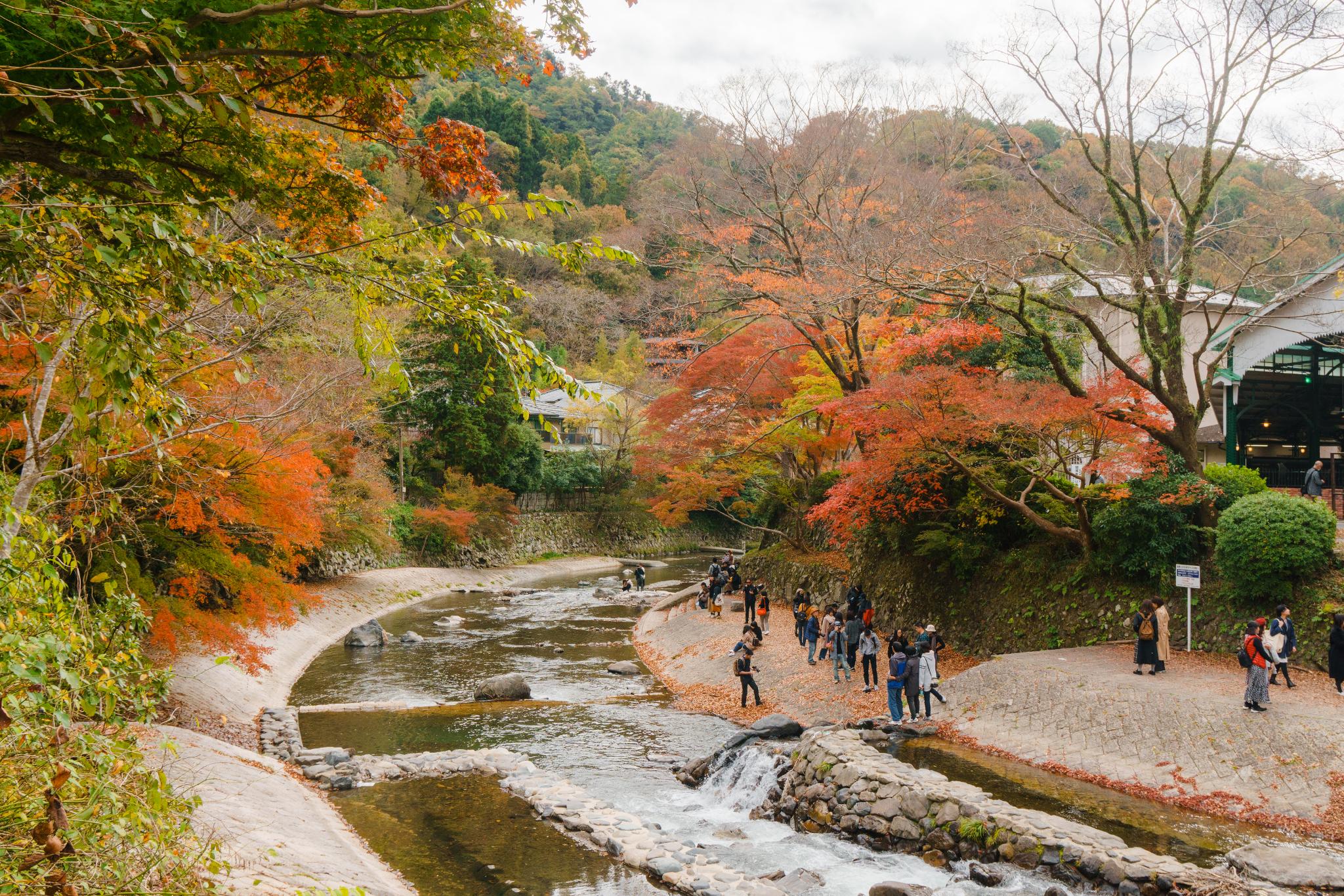 高野川一偶